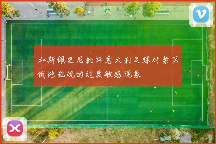 加斯佩里尼批评意大利足球对禁区倒地犯规的过度敏感现象