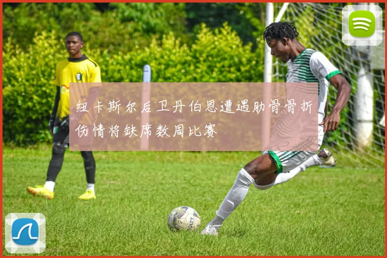 纽卡斯尔后卫丹伯恩遭遇肋骨骨折伤情将缺席数周比赛