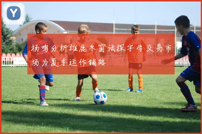 杨鸣分析雄鹿冬窗试探字母交易市场为夏季运作铺路